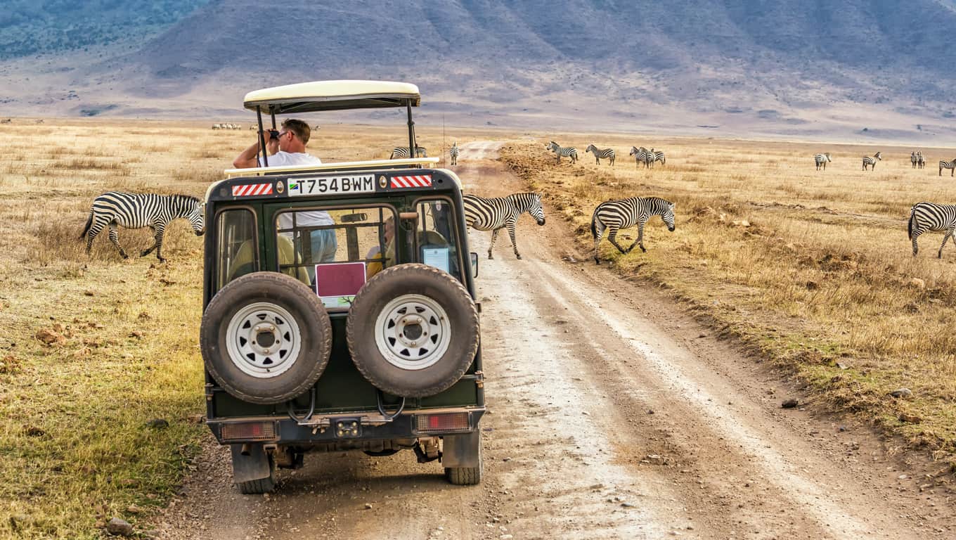 African Safari In Ngorongoro Crater